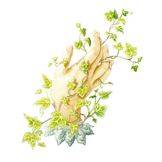 Victorian hand: ivy